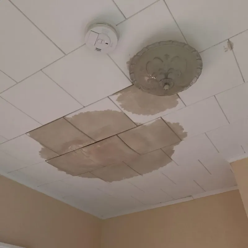 Ceiling Water Damage Repair in Lander, WY