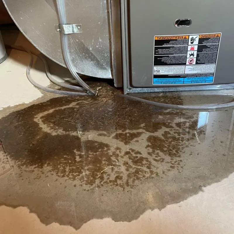 Pipe Burst and Leak Restoration in Lander, WY