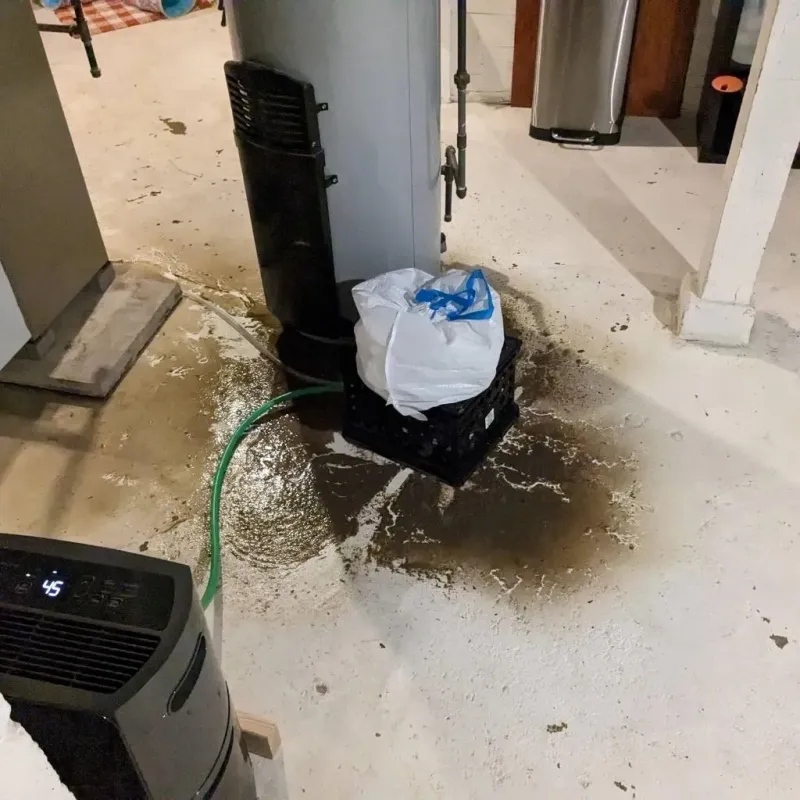 Sewage Backup Cleanup Service in Lander, WY